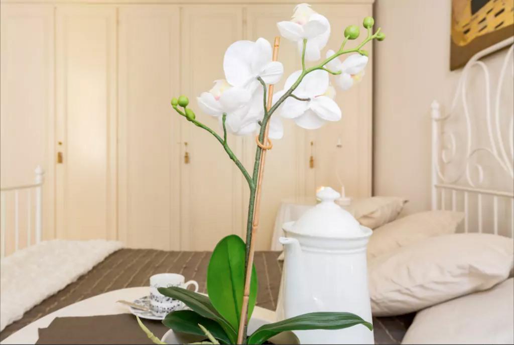 Via Laurina 40 Apartment Rome Bagian luar foto